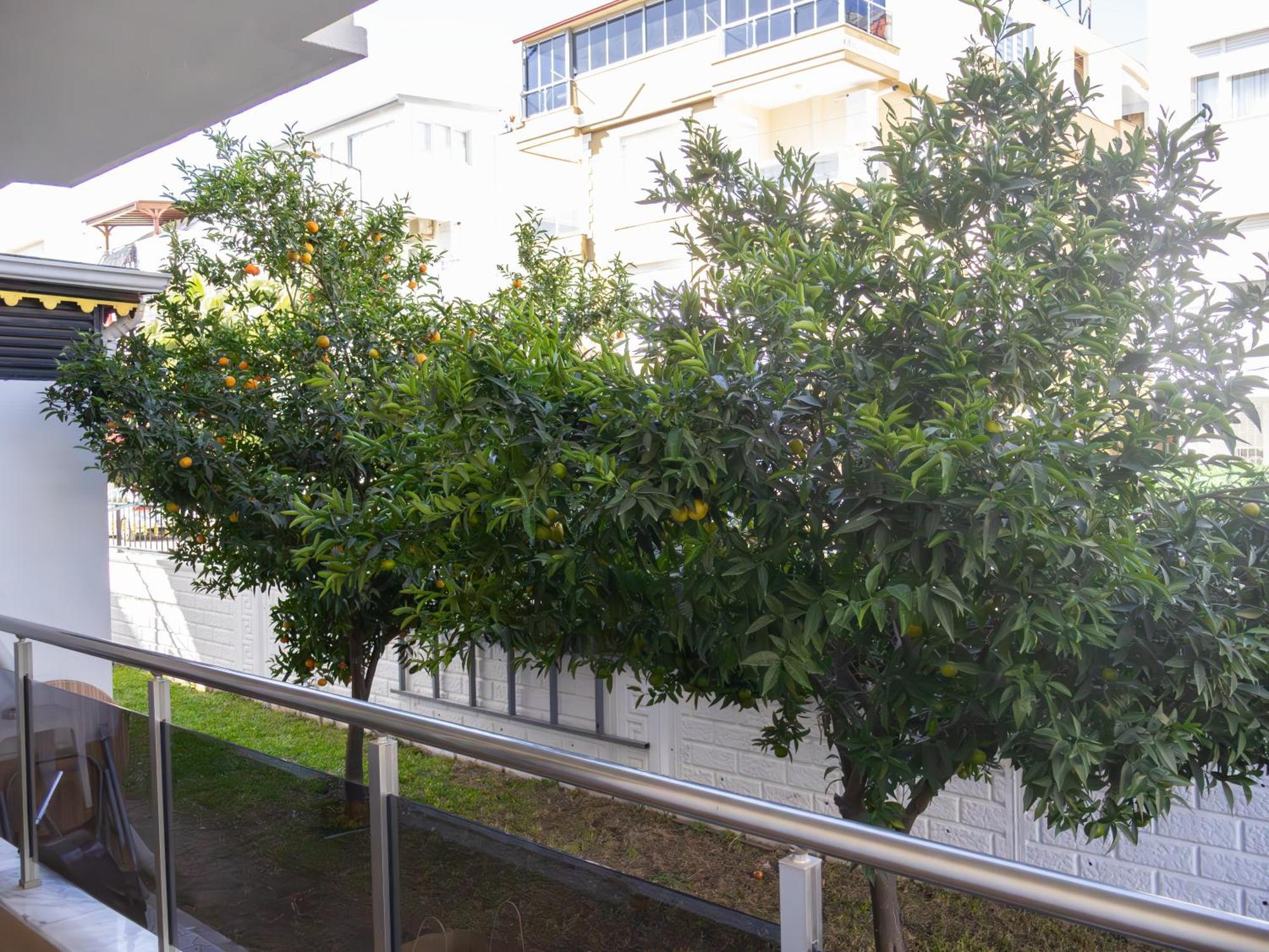 Gueden-Pearl Lejlighedshotel Antalya Eksteriør billede